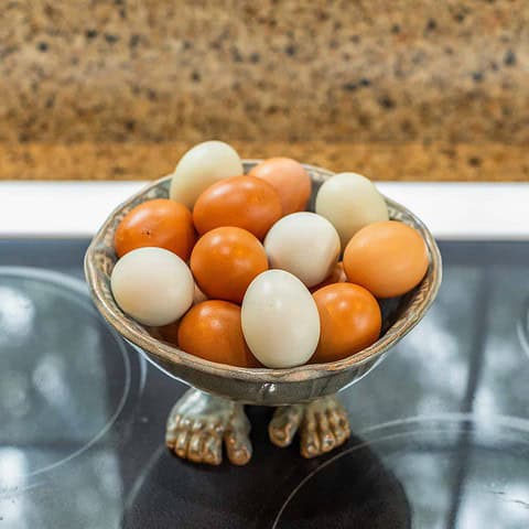 Guests receive farm fresh eggs.