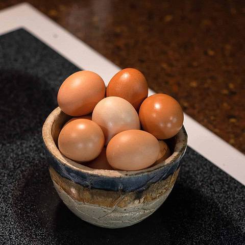 Enjoy our Farm Fresh Eggs!