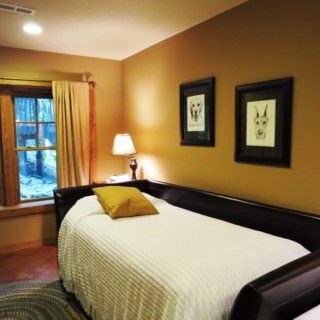 The Huntley Basement Bedroom has a Single Daybed - The Cove at Fairview Vacation Rentals- Asheville NC