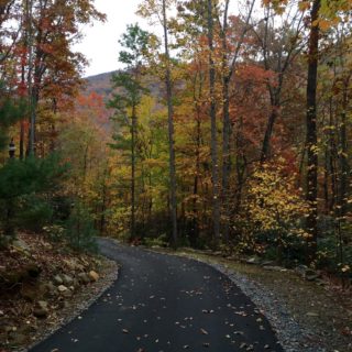 The Road to the Huntley is Paved - The Cove at Fairview Vacation Rentals - Asheville NC