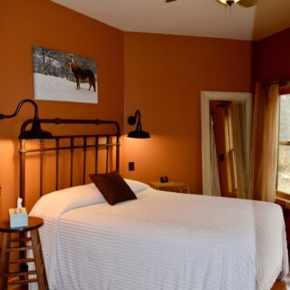 The second downstairs bedroom at My Place - The Cove at Fairview - Vacation Rentals- Asheville, North Carolina