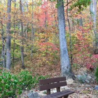 Place to sit and enjoy the Fall at My Place - The Cove at Fairview - Vacation Rentals- Asheville, North Carolina
