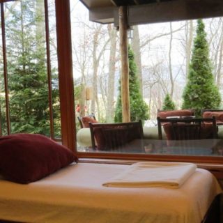 My Place has a day bed in the living room - The Cove at Fairview - Vacation Rentals- Asheville, North Carolina