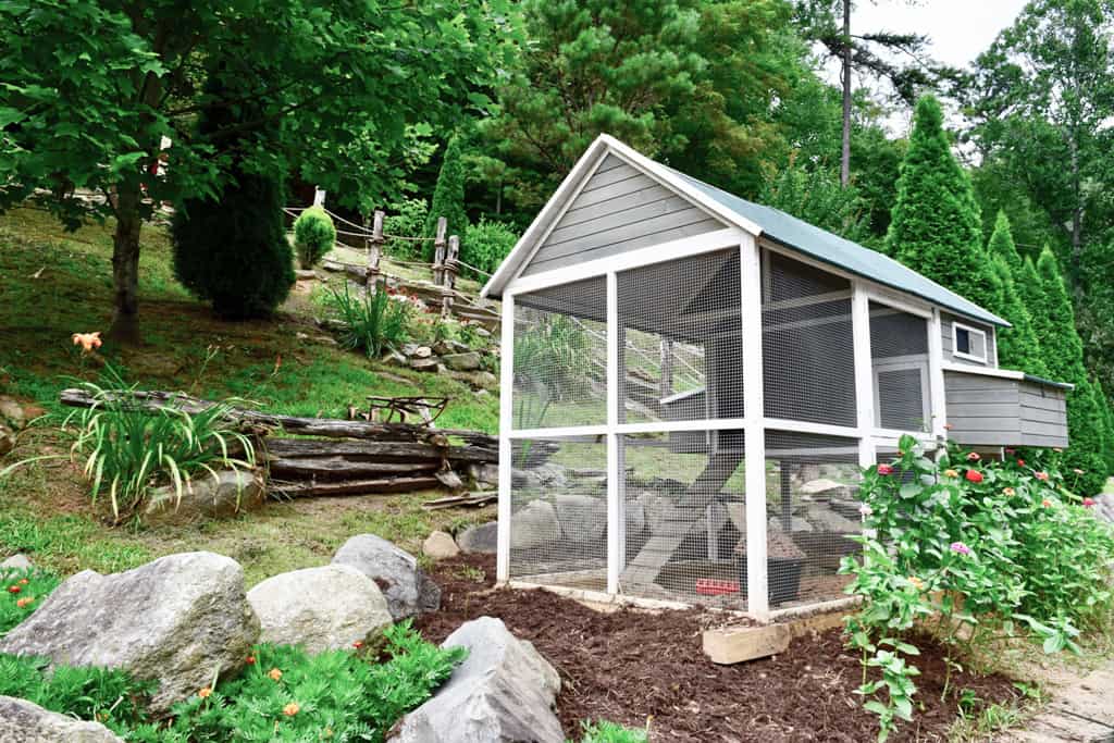 blog-new-chicken-coop-at-the-cove