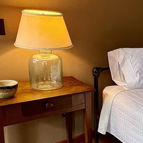 Day bed in the living room - The Cove at Fairview - Vacation Rentals - Asheville, NC