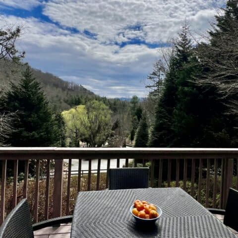 View from the front porch - The Cove at Fairview - Vacation Rentals - Asheville, NC