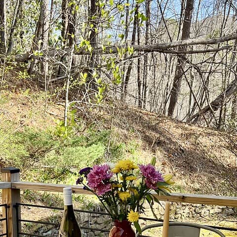 Table for four on the back porch - The Cove at Fairview - Vacation Rentals - Asheville, NC