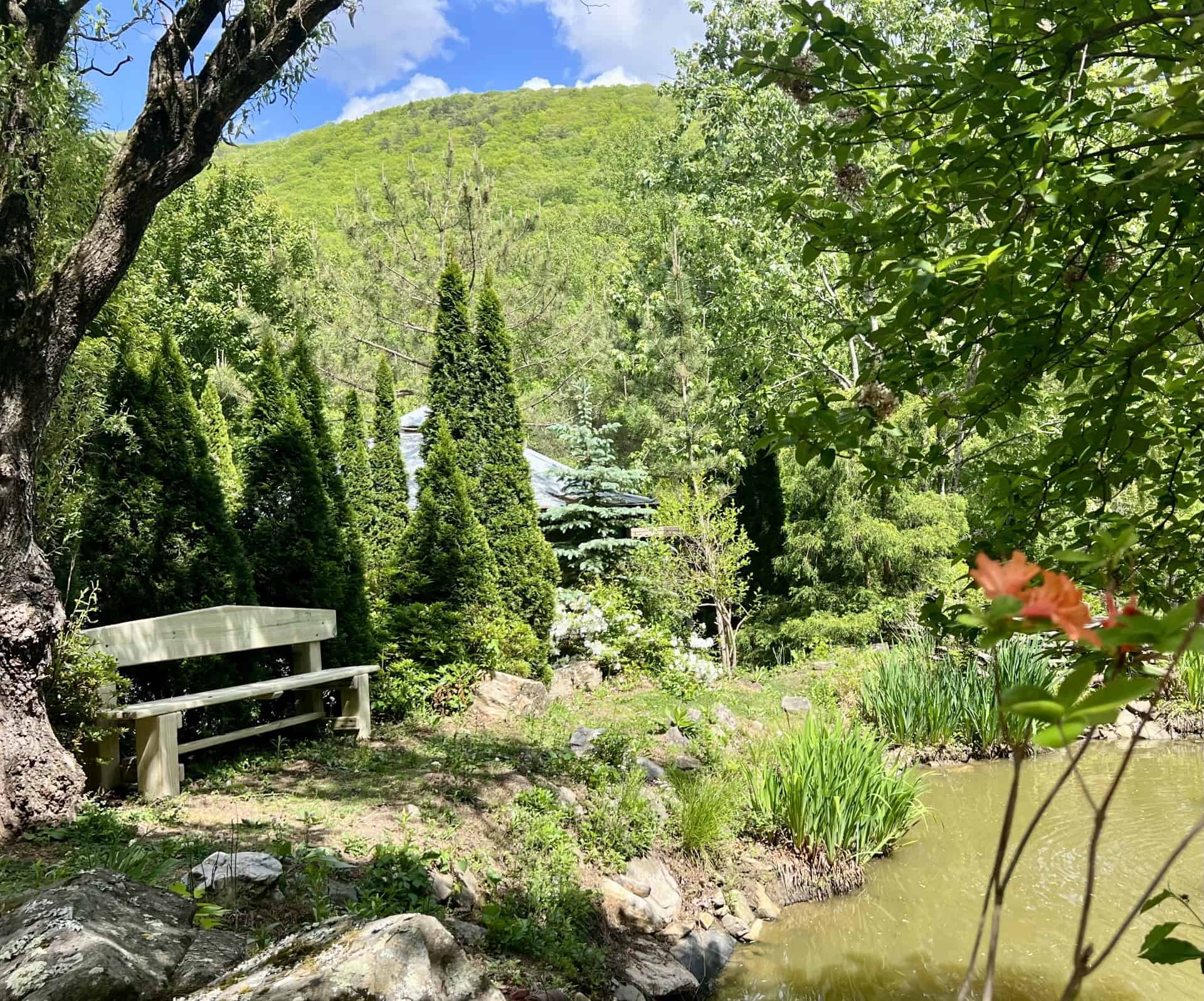 Picnic Bench - The Cove at Fairview - Vacation Rentals - Asheville, NC